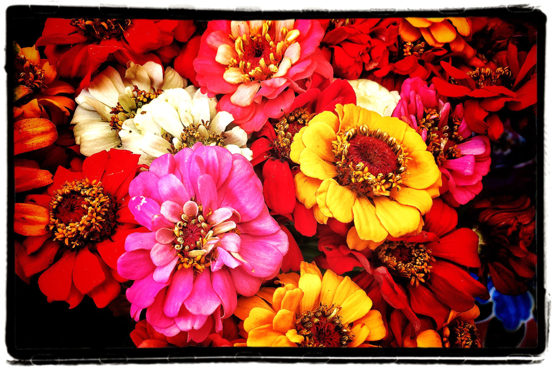 Farmers Market